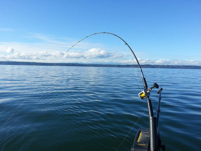 Seattle Fishing Charters - All Star Fishing